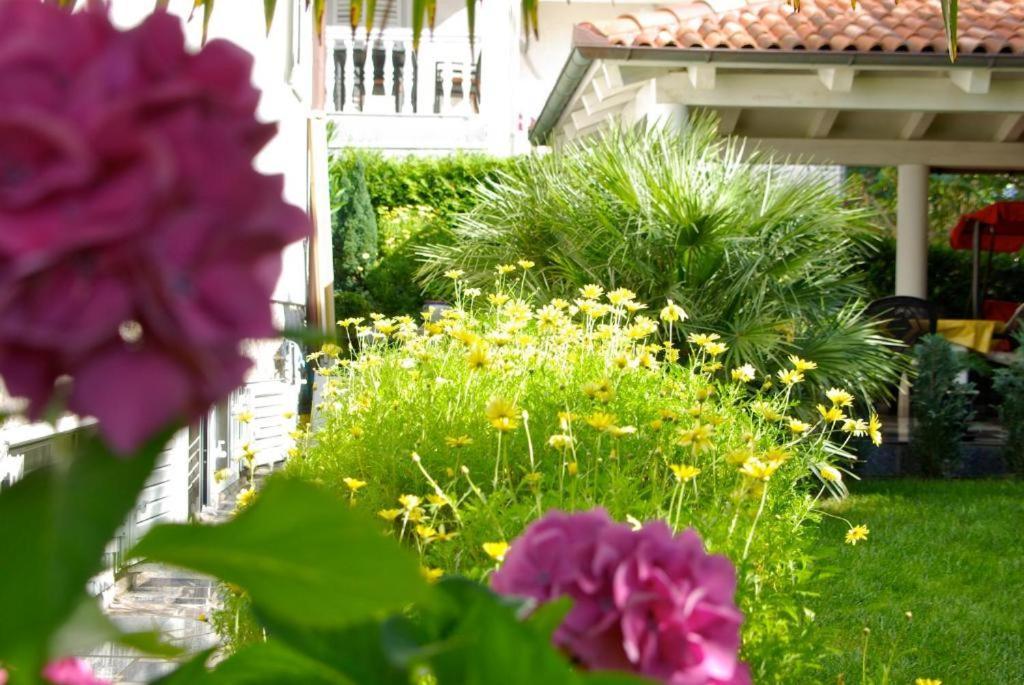 Apartments Bella Vita 2 مالينسكا المظهر الخارجي الصورة